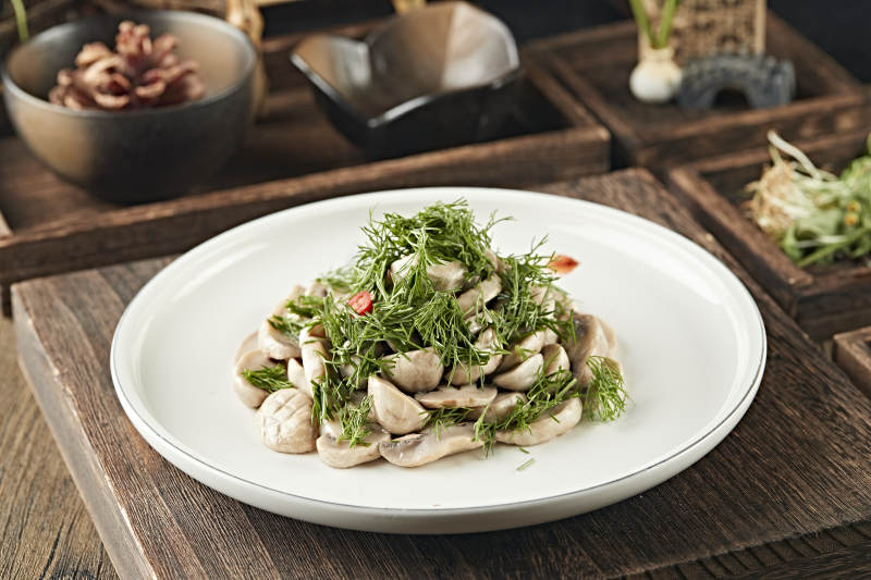 茴香碎凉拌塞外口蘑图片