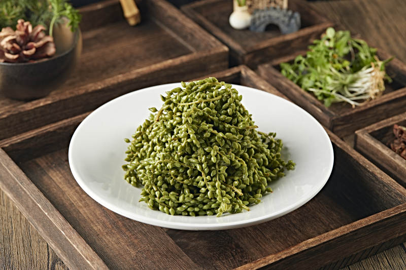 养生野菜杨树芒图片