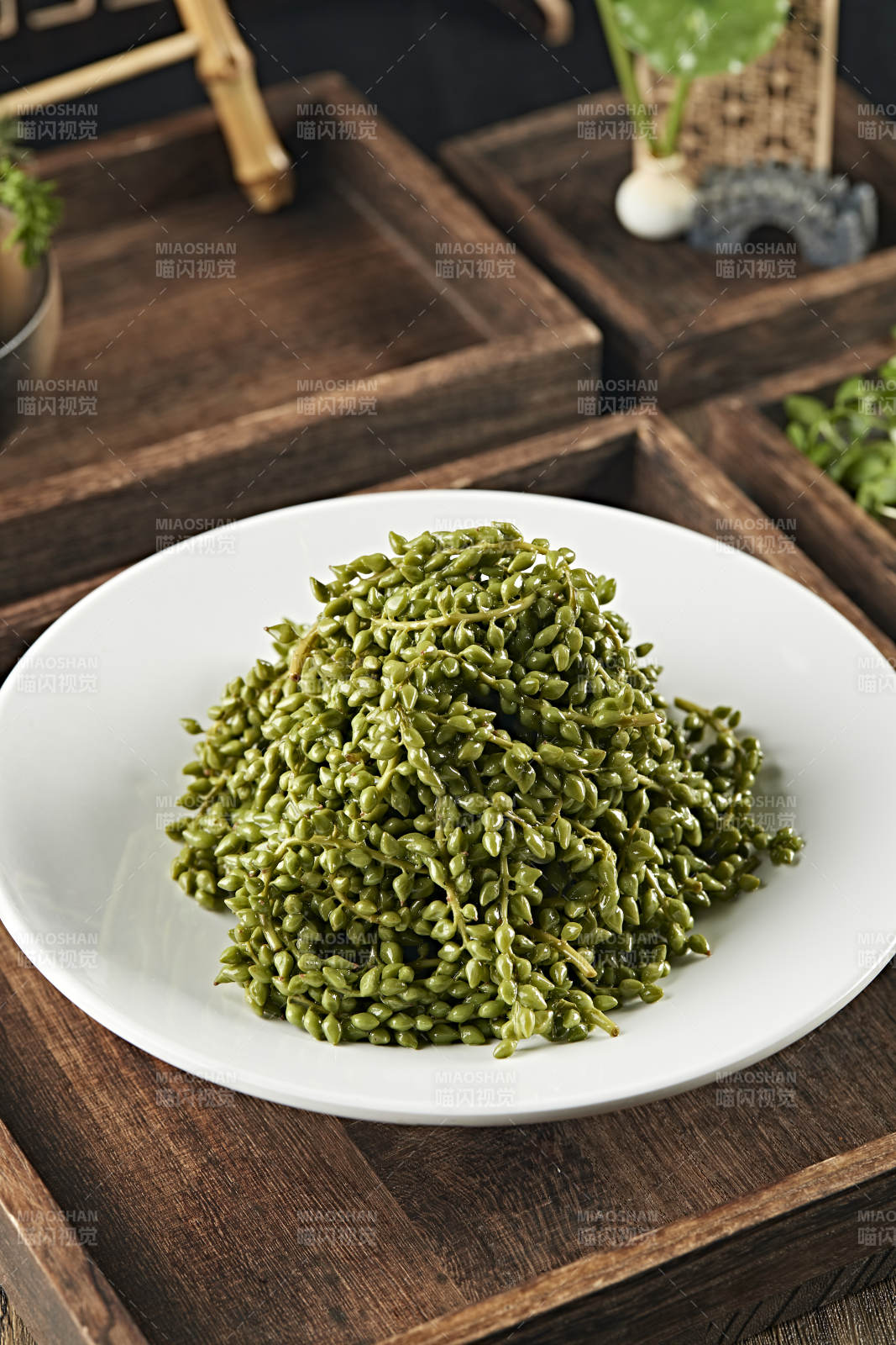 养生野菜杨树芒图片