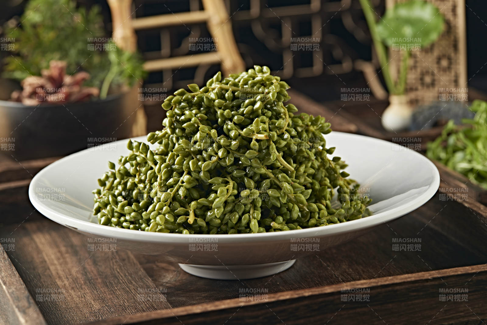 养生野菜杨树芒图片