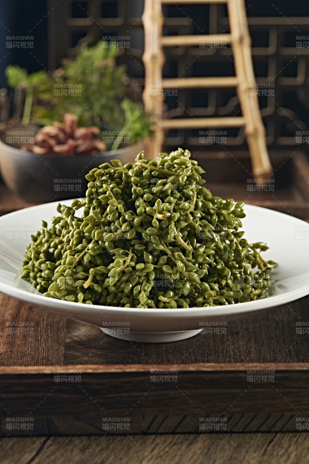 养生野菜杨树芒图片