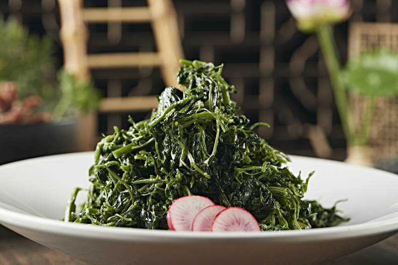 凉拌野生健康野生蕨菜图片