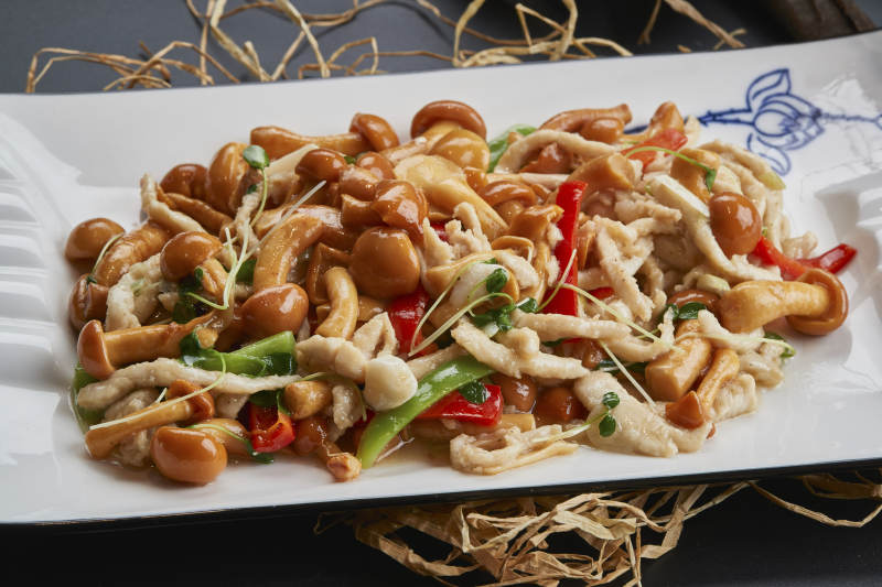 长白瓷盘装的鸡丝豆苗小炒海鲜菇图片