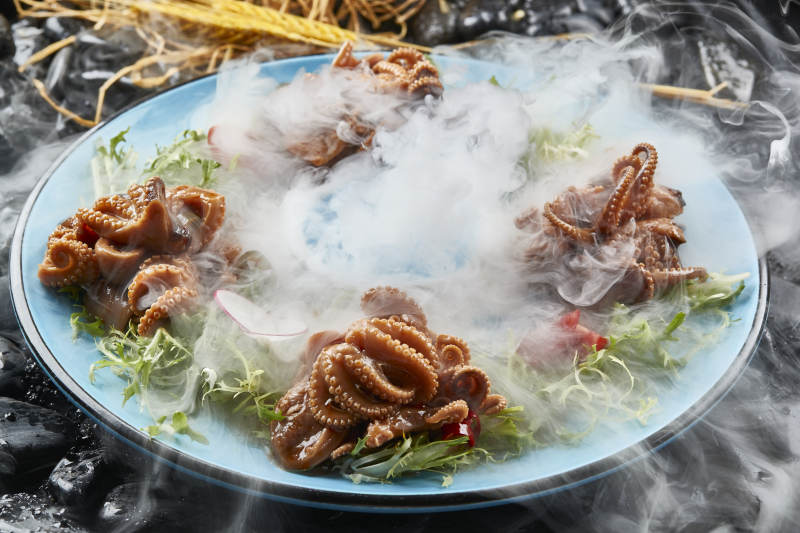 布满干冰的餐具装的酱焖小八爪章鱼图片