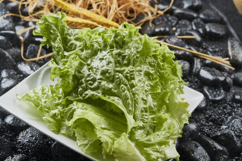 涮烤食材生菜叶图片