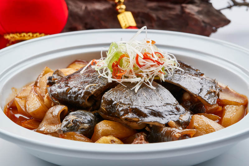 白色砂锅装的滋补萝卜炖甲鱼图片