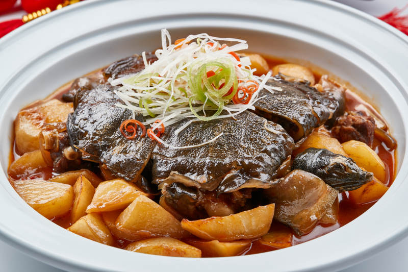 白色砂锅装的滋补萝卜炖甲鱼图片