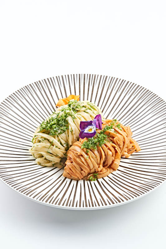 精美瓷餐具装的双味双色荞麦面图片