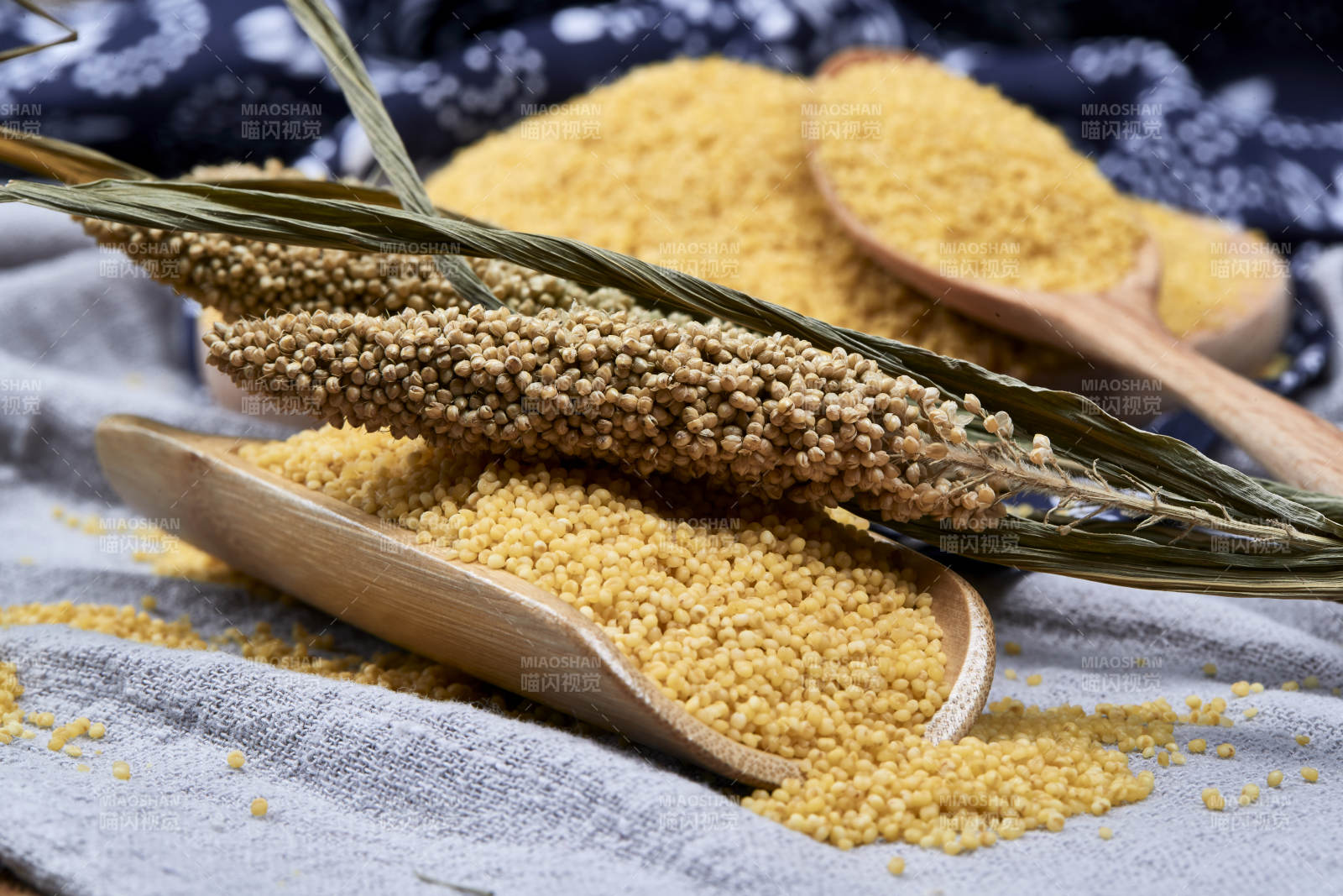质量上乘的金黄小米粟米图片