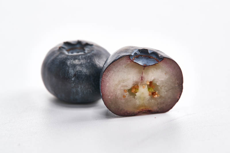 白色背景上摆放的水润新鲜蓝莓果图片