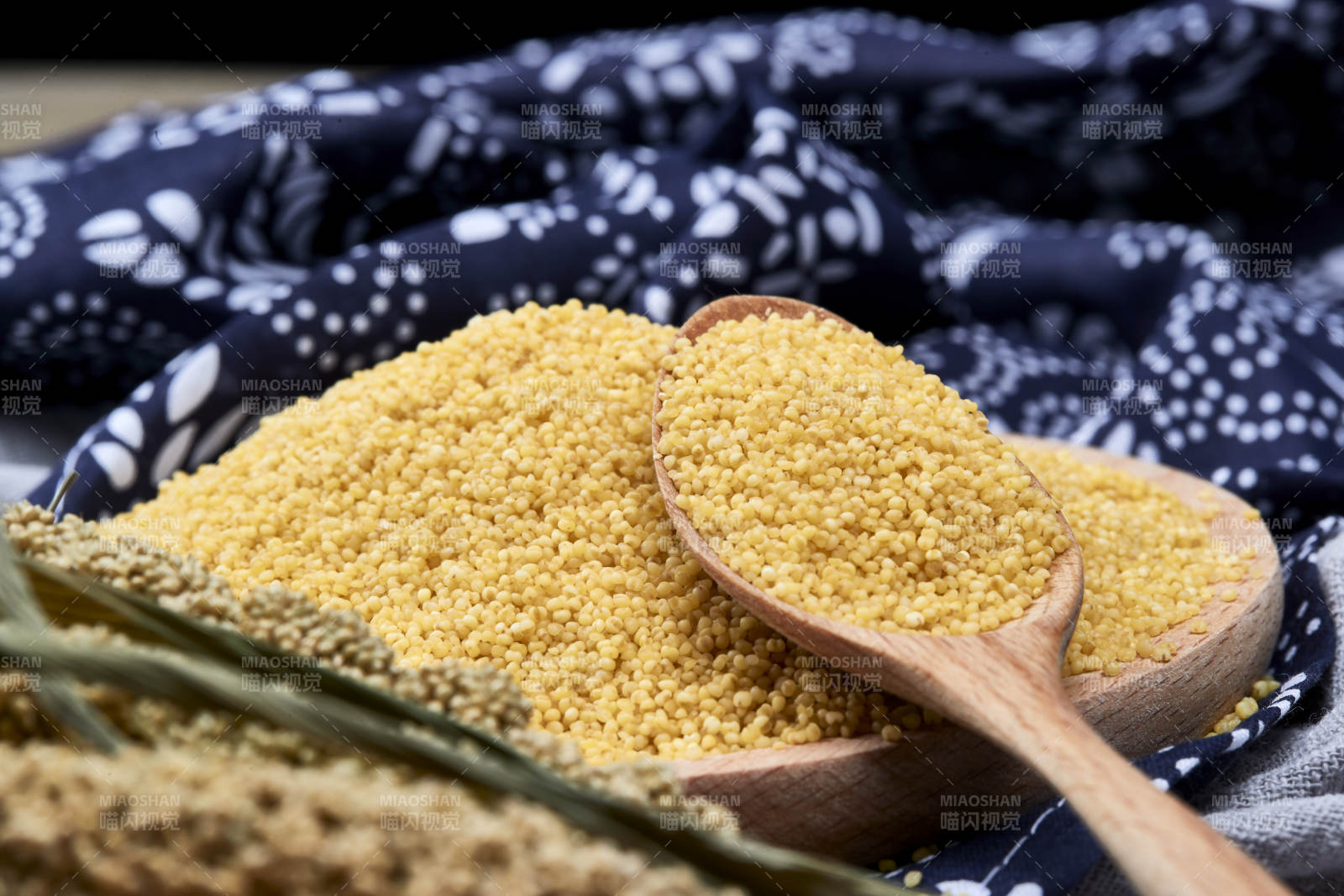 质量上乘的金黄小米粟米图片