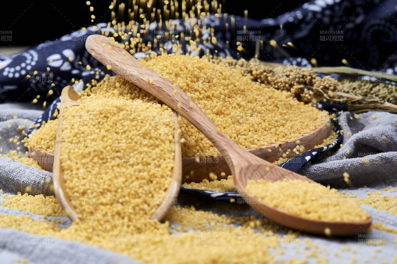质量上乘的金黄小米粟米图片