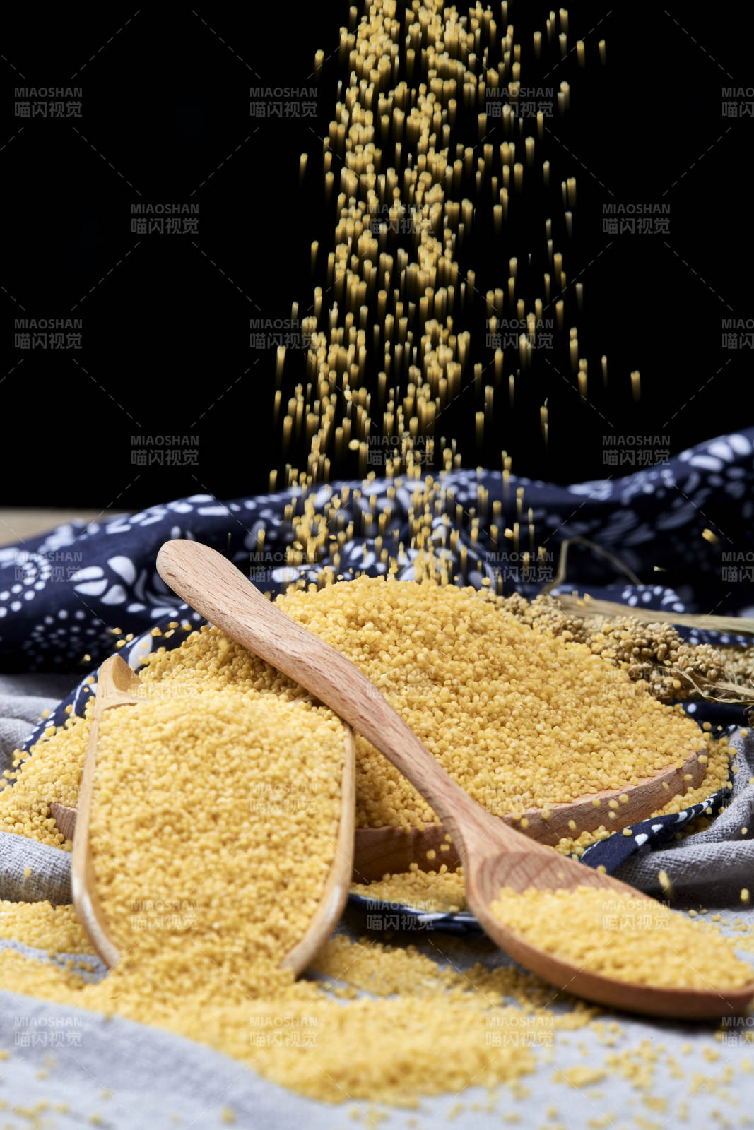 质量上乘的金黄小米粟米图片