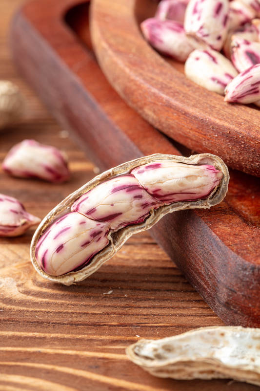 紫纹花生特写图片