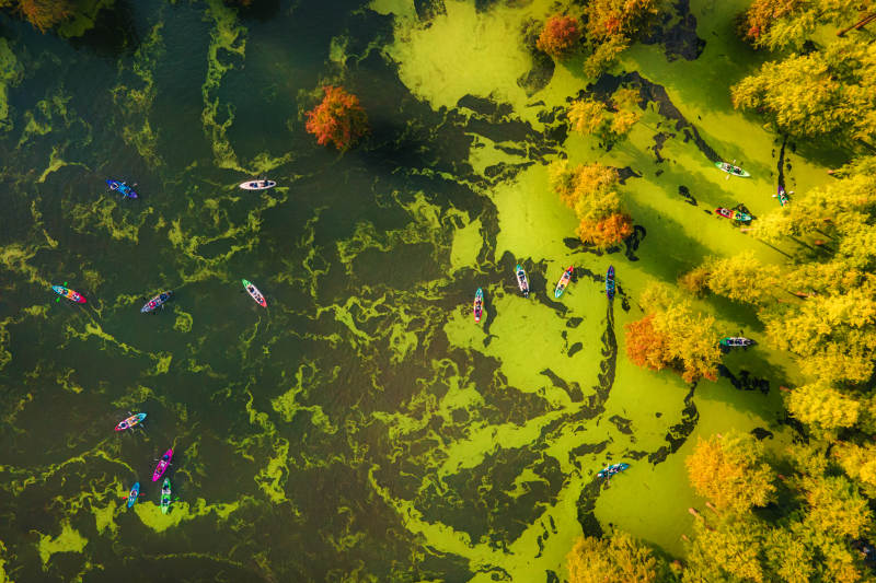 临安青山湖秋湖泛舟图图片