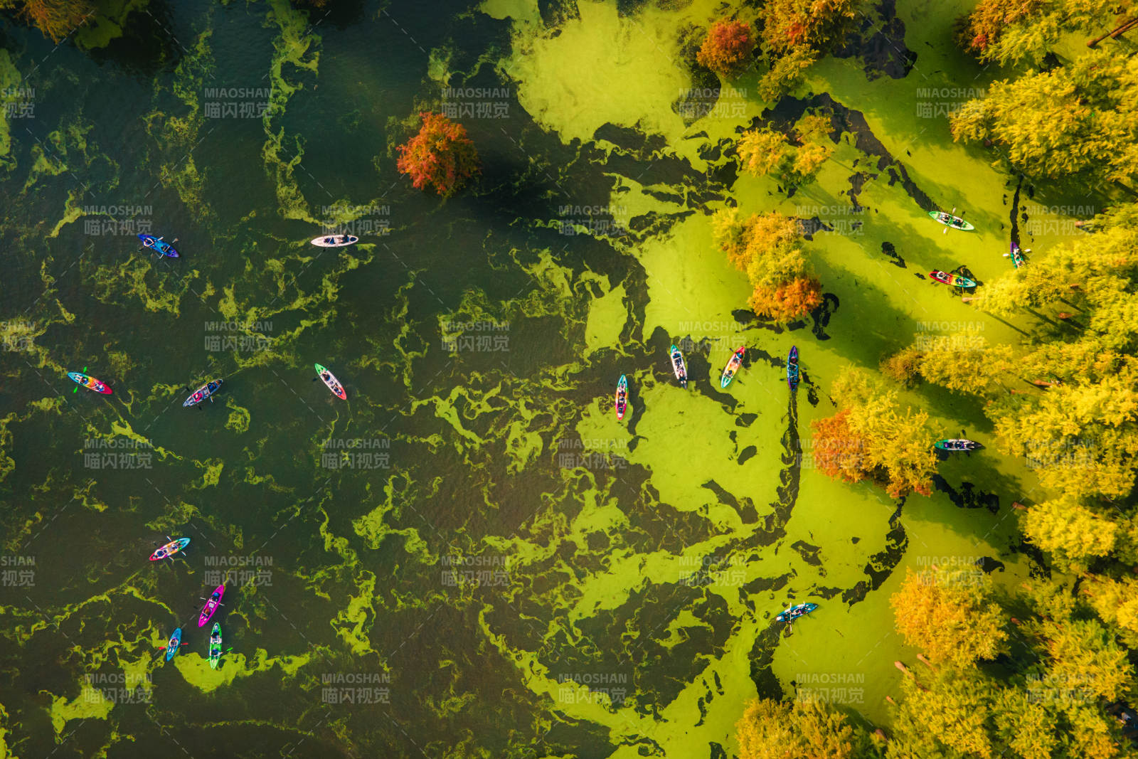 临安青山湖秋湖泛舟图图片