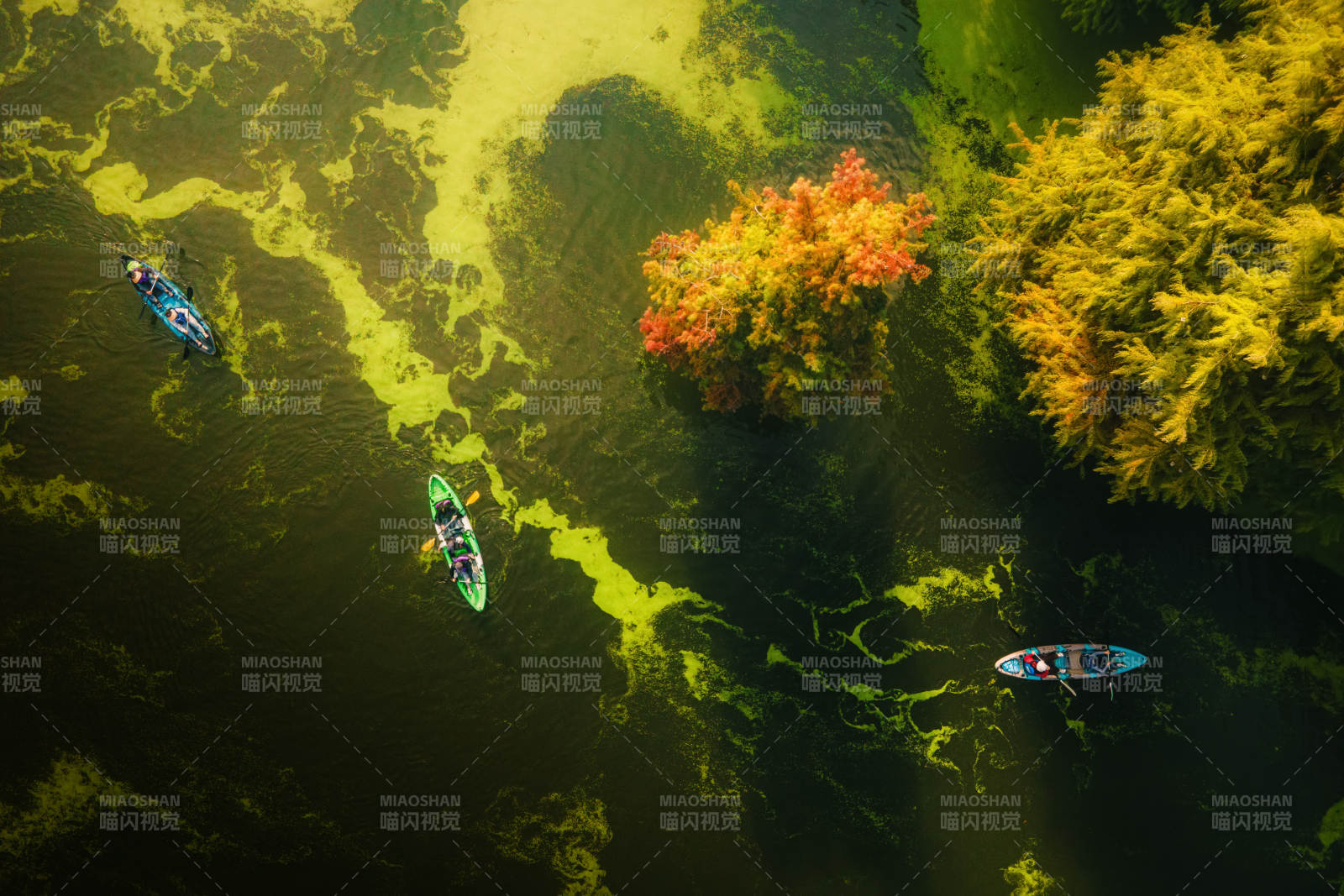 临安青山湖秋湖泛舟图片