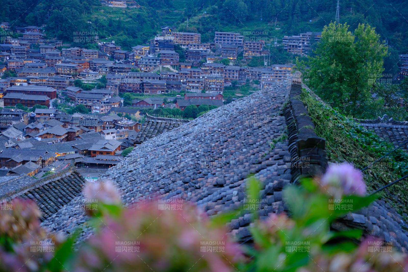 古镇屋顶花影 千户苗寨图片