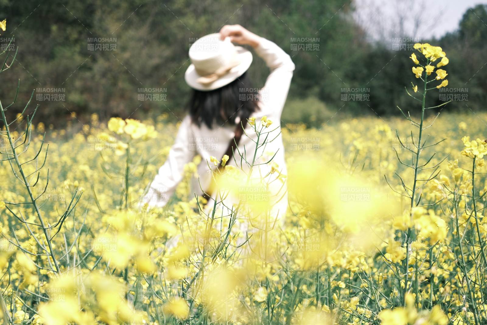 油菜花田中的女子图片