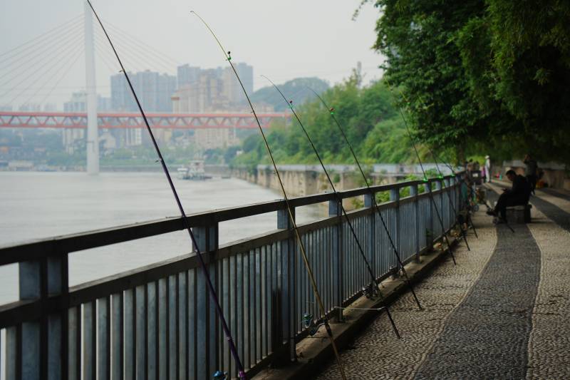 江边垂钓静景图片