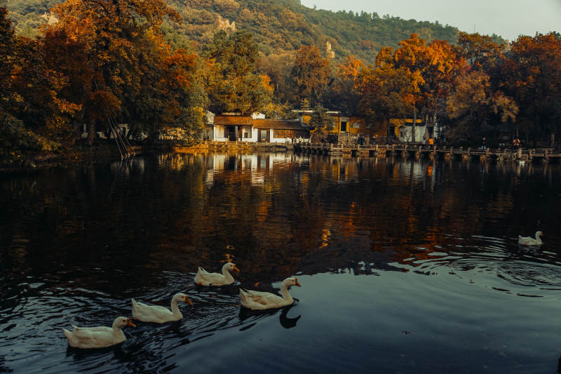 苏州天平山深秋图片
