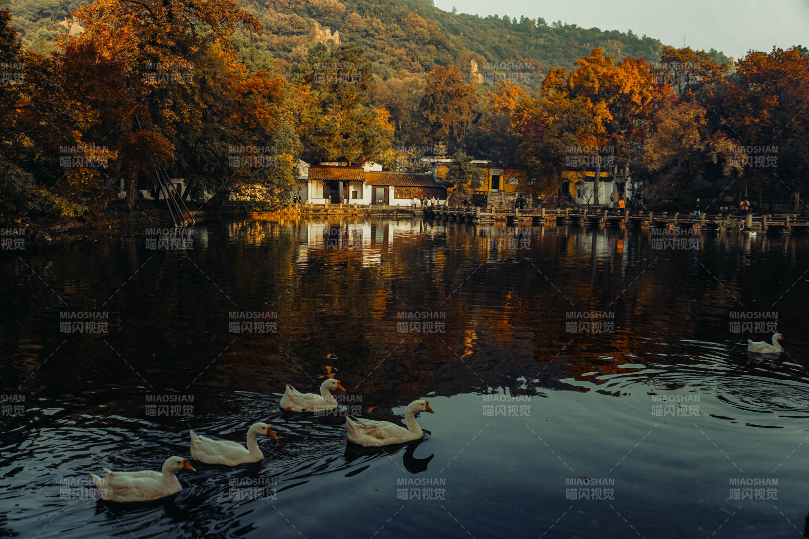 苏州天平山深秋图片