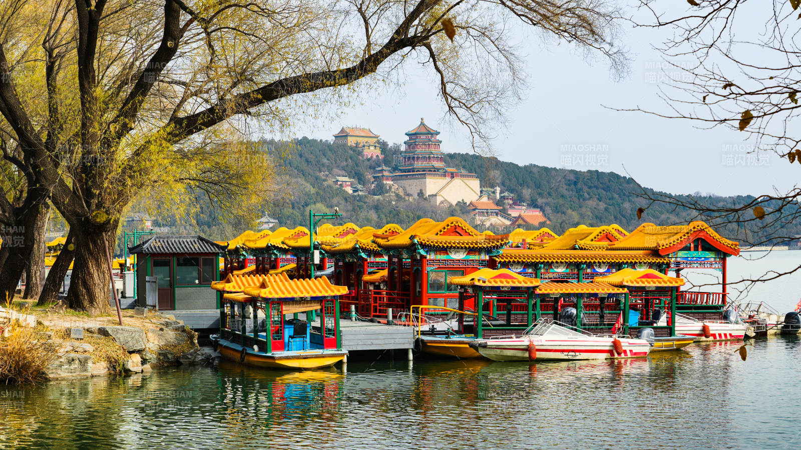 颐和园湖畔游船春景图片