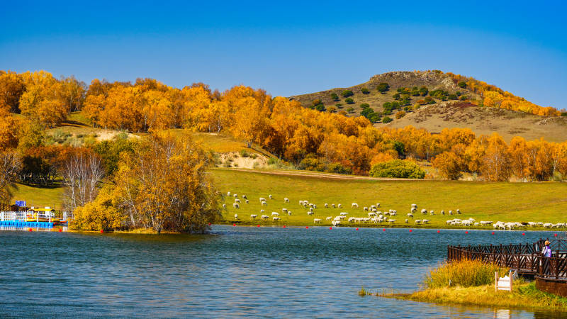 乌兰布统公主湖牧影图片