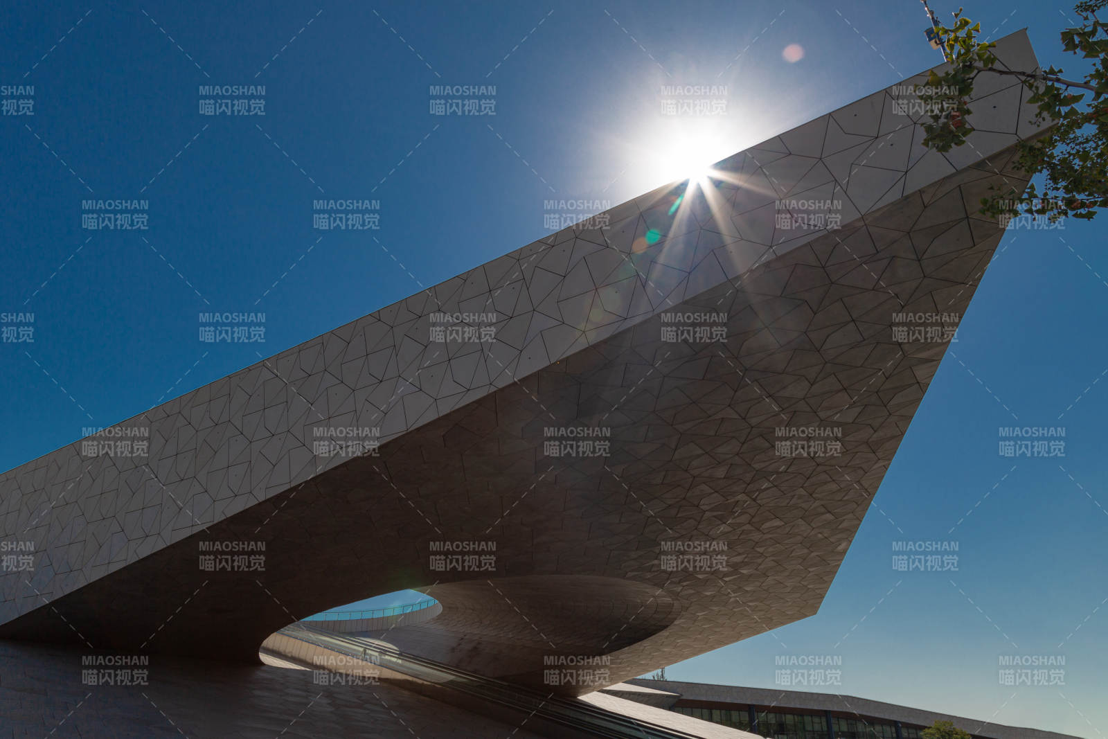 太原植物园现代建筑仰拍图图片