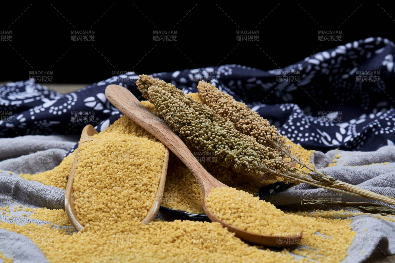 质量上乘的金黄小米粟米图片