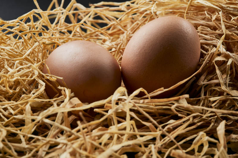 蓼草草团上的两枚营养柴鸡蛋图片