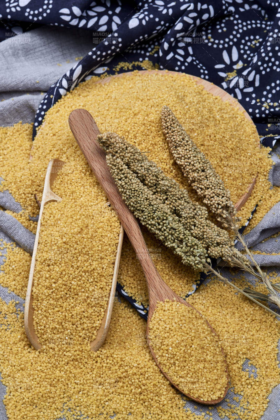 质量上乘的金黄小米粟米图片