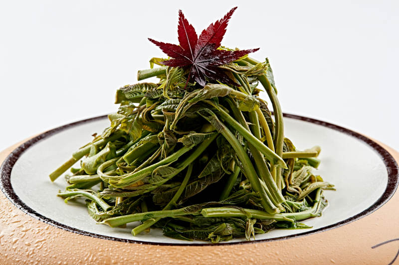 精美餐具装的焯水鲜香椿图片