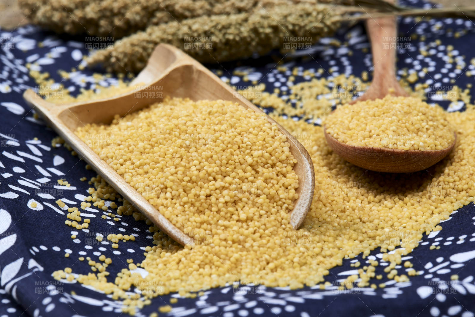 质量上乘的金黄小米粟米图片