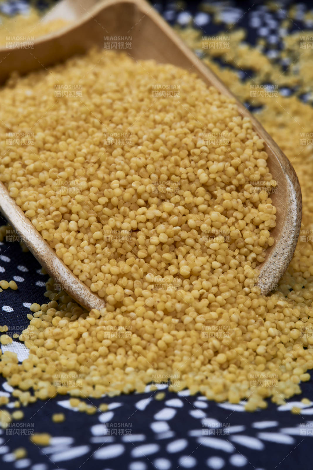 质量上乘的金黄小米粟米图片