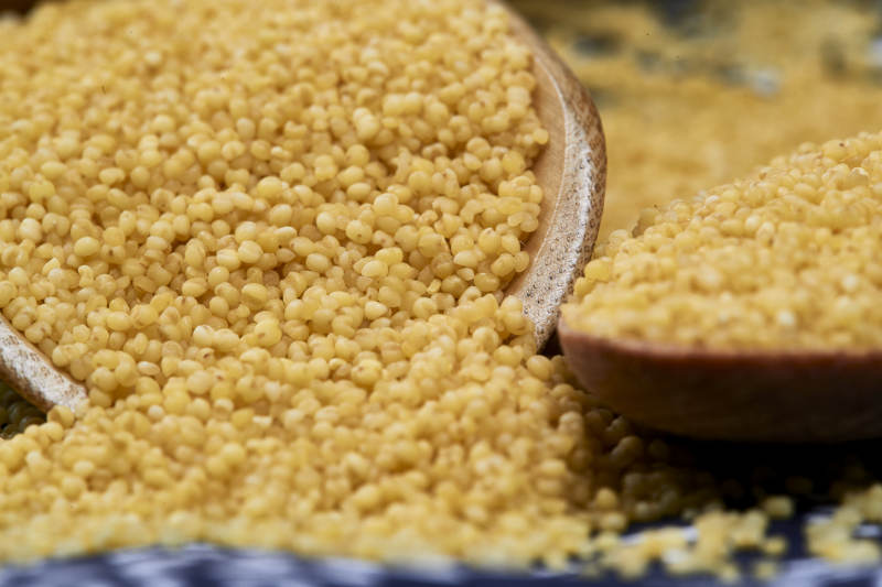 质量上乘的金黄小米粟米图片