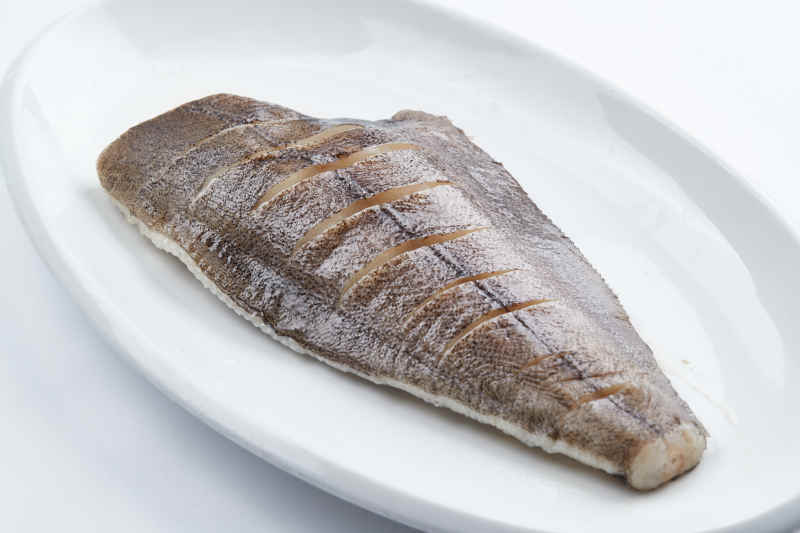 半成品菜鲽鱼尾配料图片