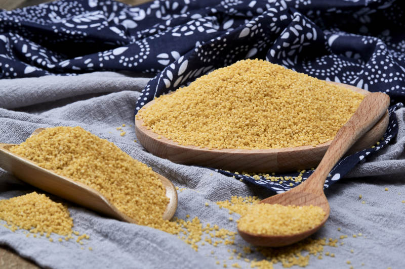 质量上乘的金黄小米粟米图片