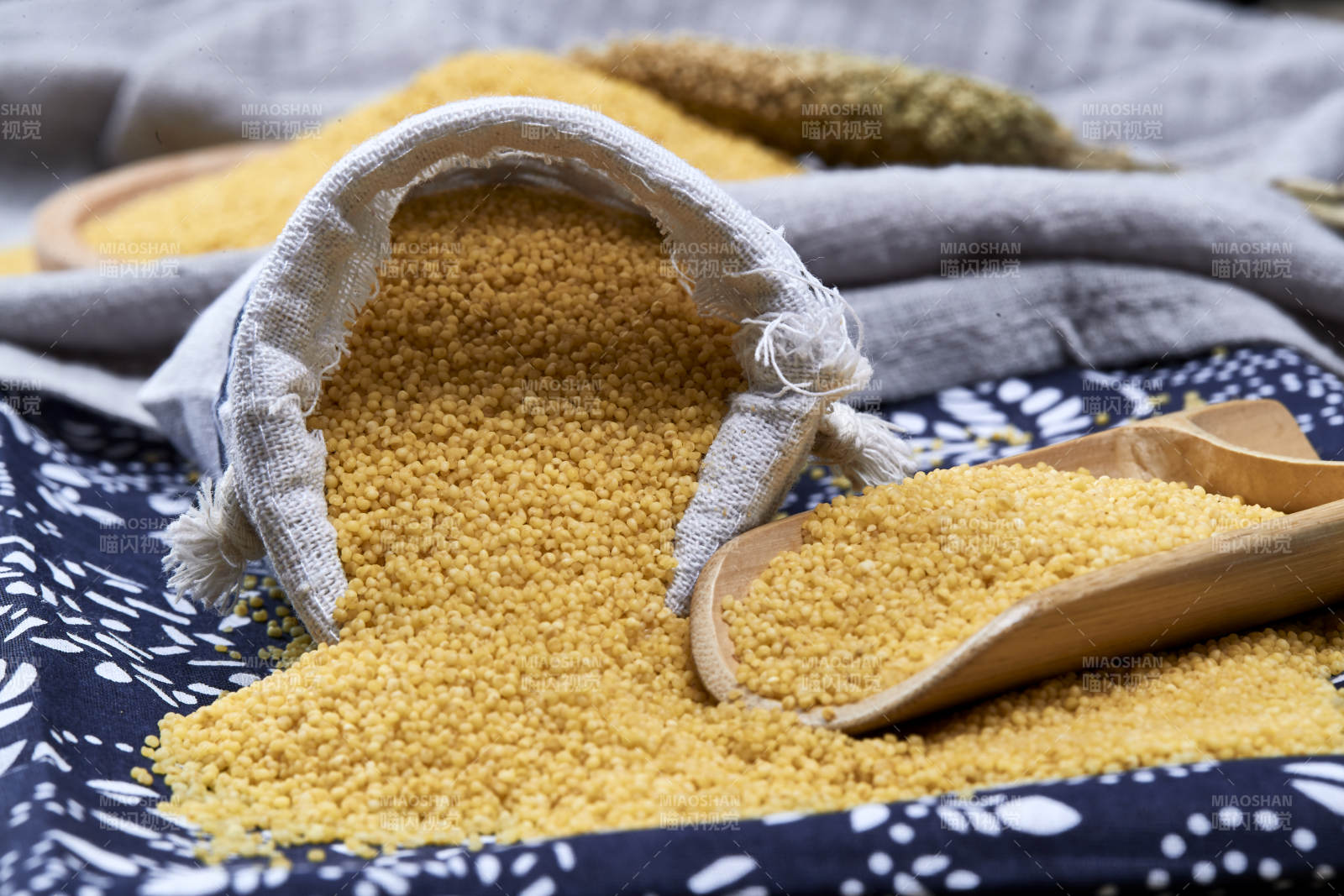 质量上乘的金黄小米粟米图片