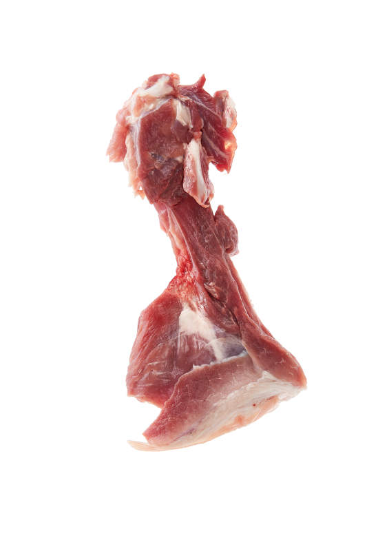 白色背景下的生鲜猪棒骨图片