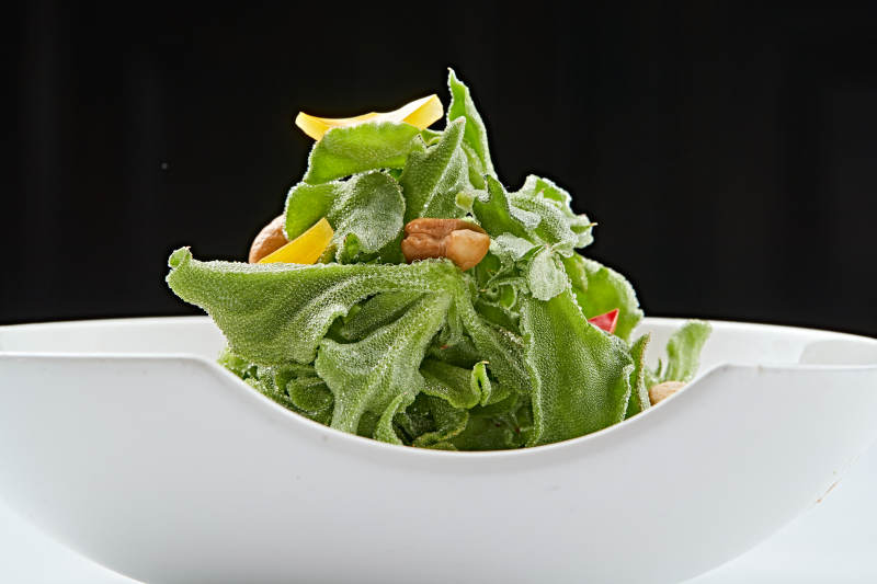 白色瓷盘装的麻酱凉拌穿心莲图片