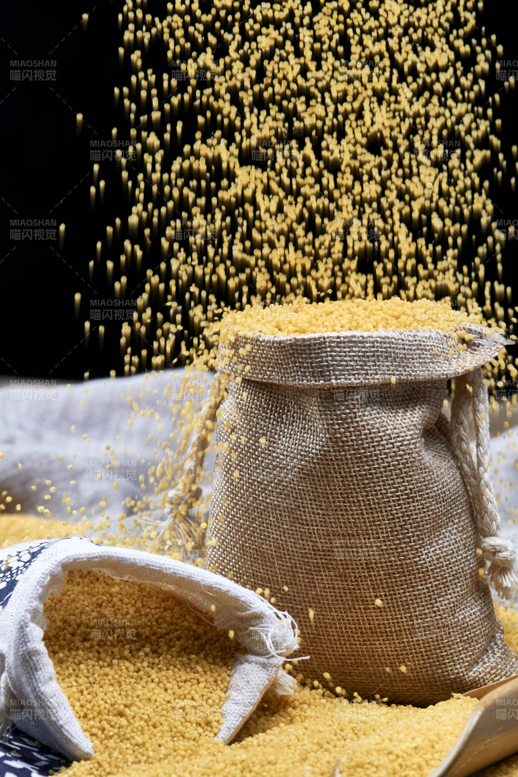 质量上乘的金黄小米粟米图片