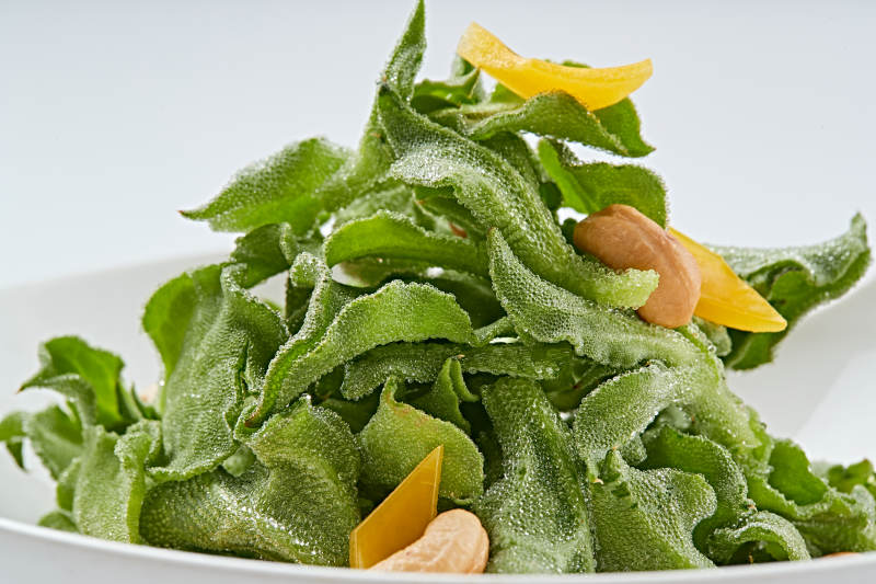 白色瓷盘装的麻酱凉拌穿心莲图片