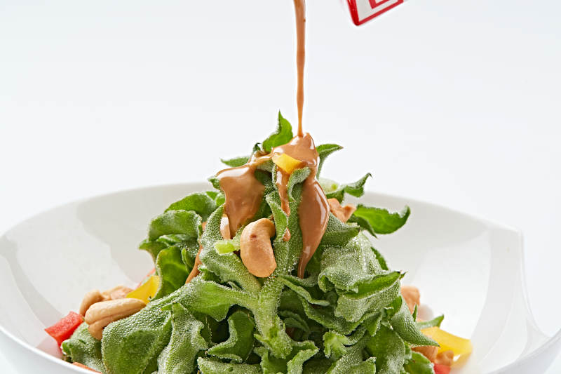 白色瓷盘装的麻酱凉拌穿心莲图片