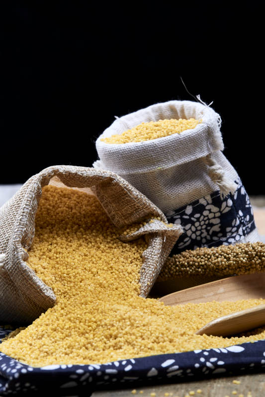 质量上乘的金黄小米粟米图片