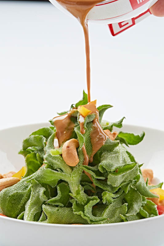 白色瓷盘装的麻酱凉拌穿心莲图片