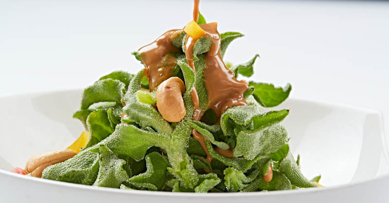 白色瓷盘装的麻酱凉拌穿心莲图片