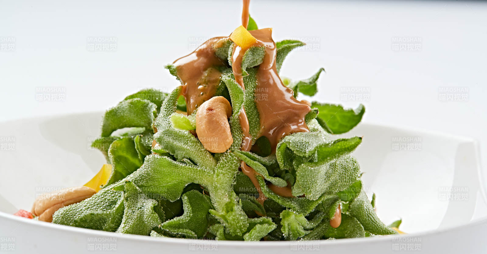 白色瓷盘装的麻酱凉拌穿心莲图片