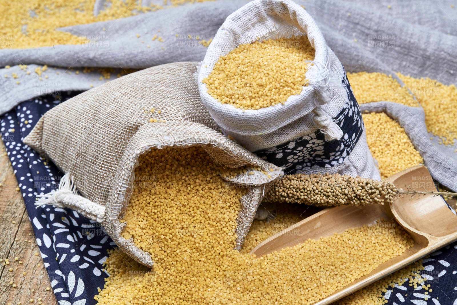 质量上乘的金黄小米粟米图片