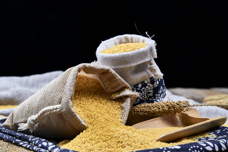 质量上乘的金黄小米粟米图片